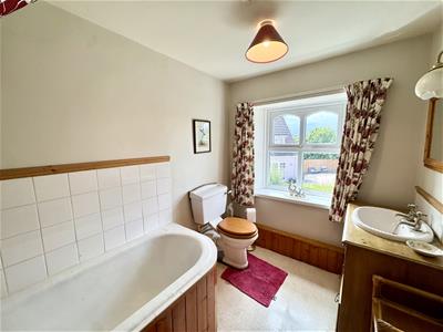 Picture 20